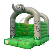 inflatable bouncer